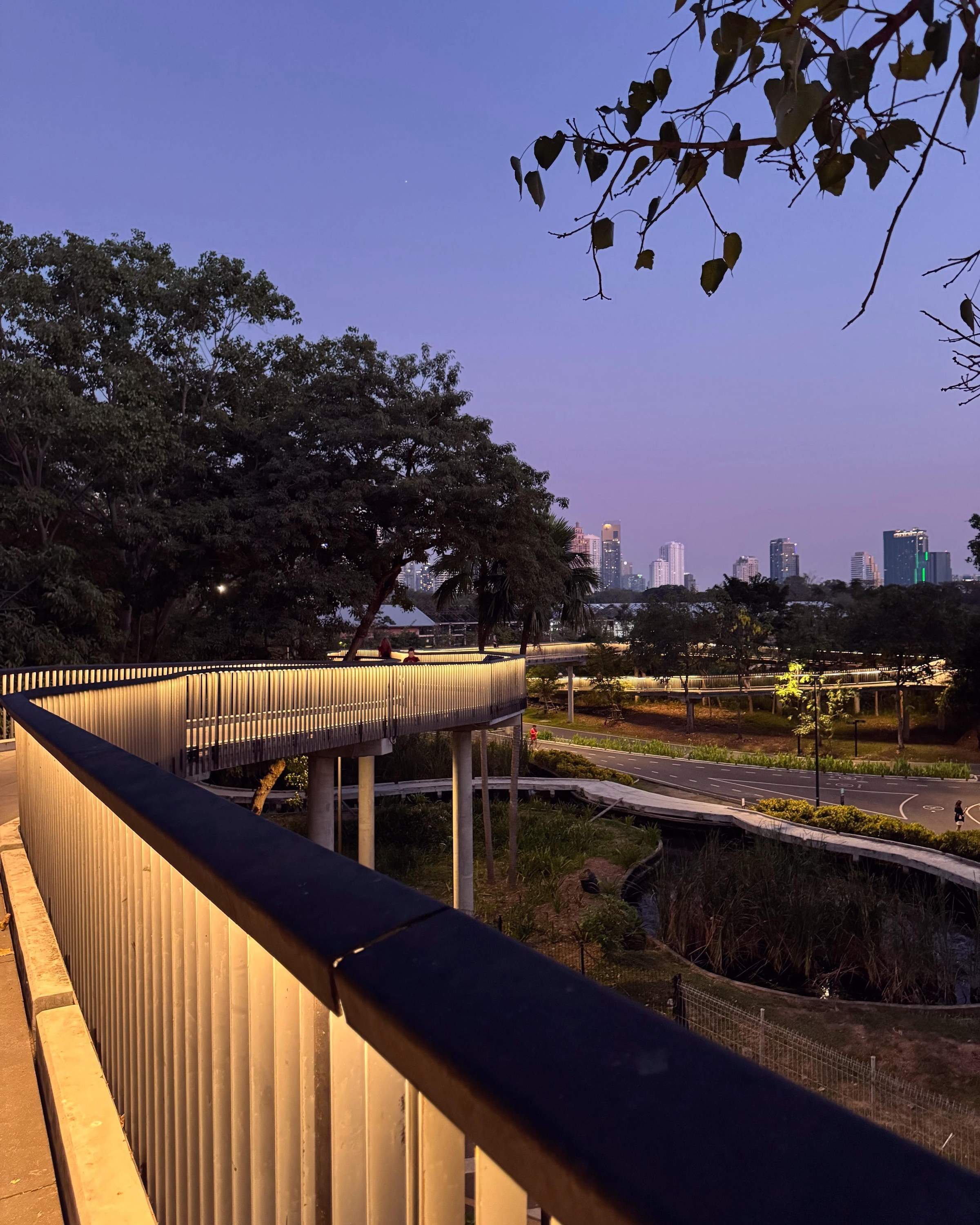 A peaceful pathway illuminated at dusk, flanked by trees and a serene atmosphere at Benchakitti Park in Thailand