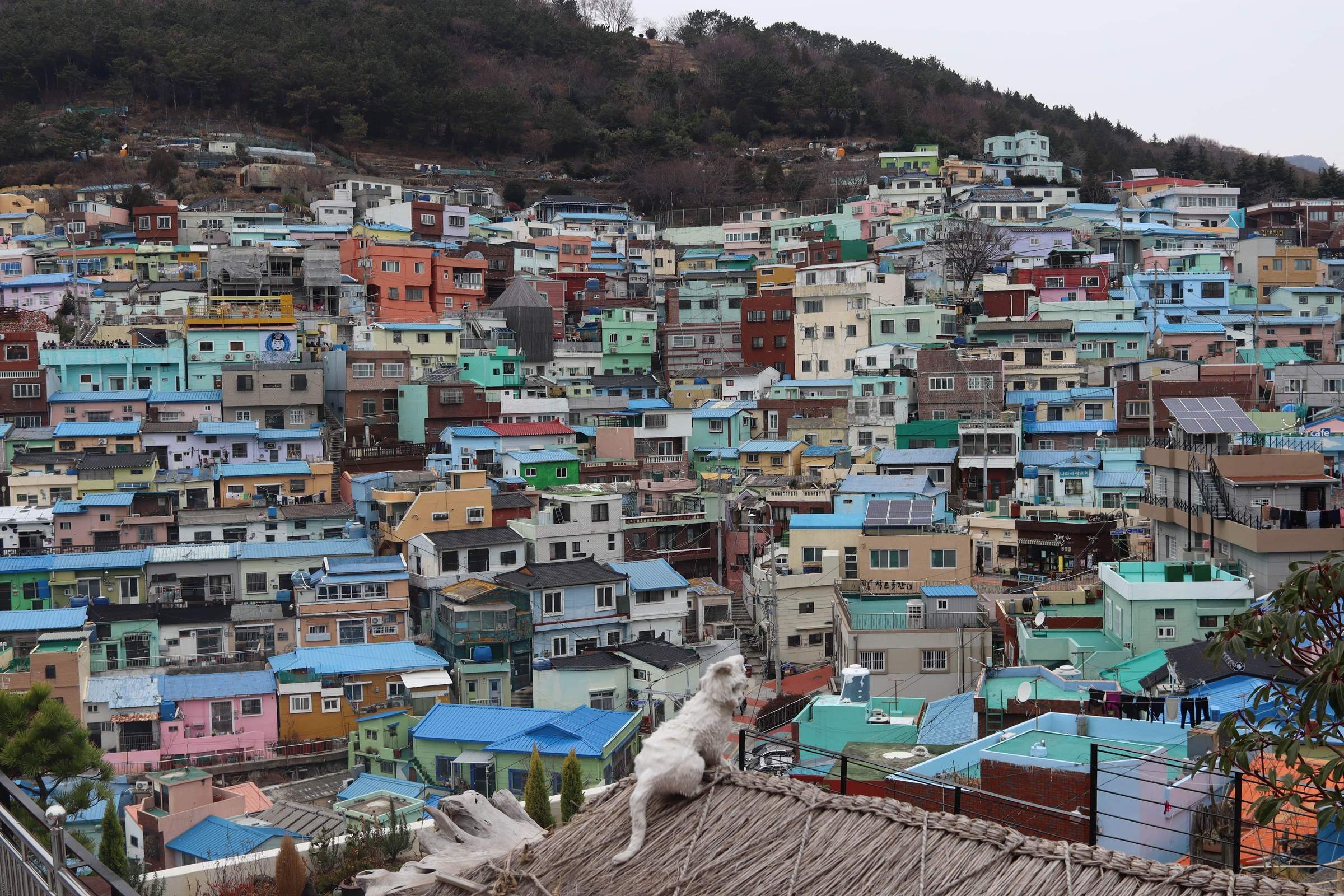 Busan, South Korea, 2019