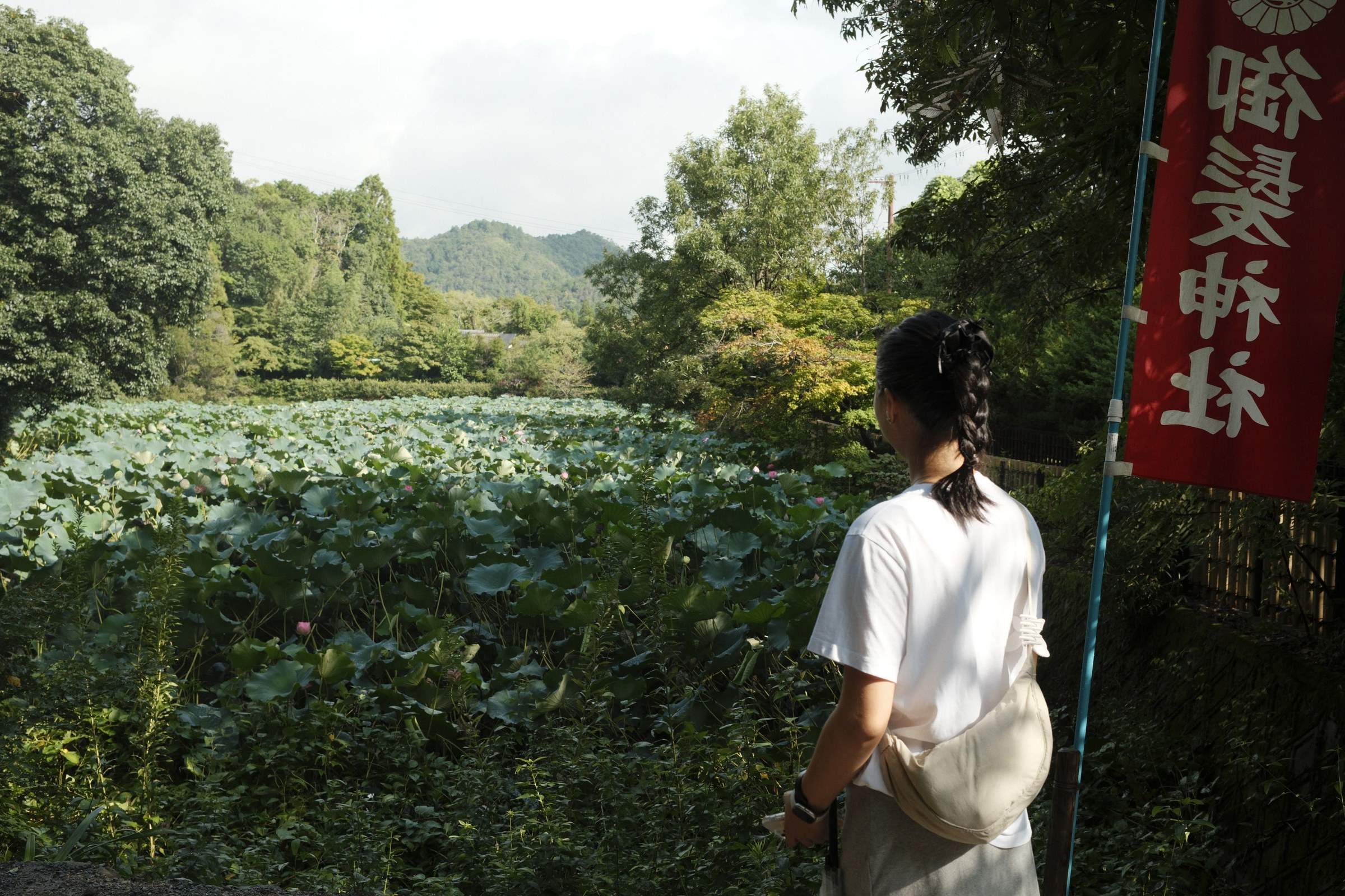 Derek's wife stands near a lush lotus pond surrounded by dense greenery, under a partly cloudy sky, with distant mountains and a red vertical sign featuring white Japanese text in the background.
