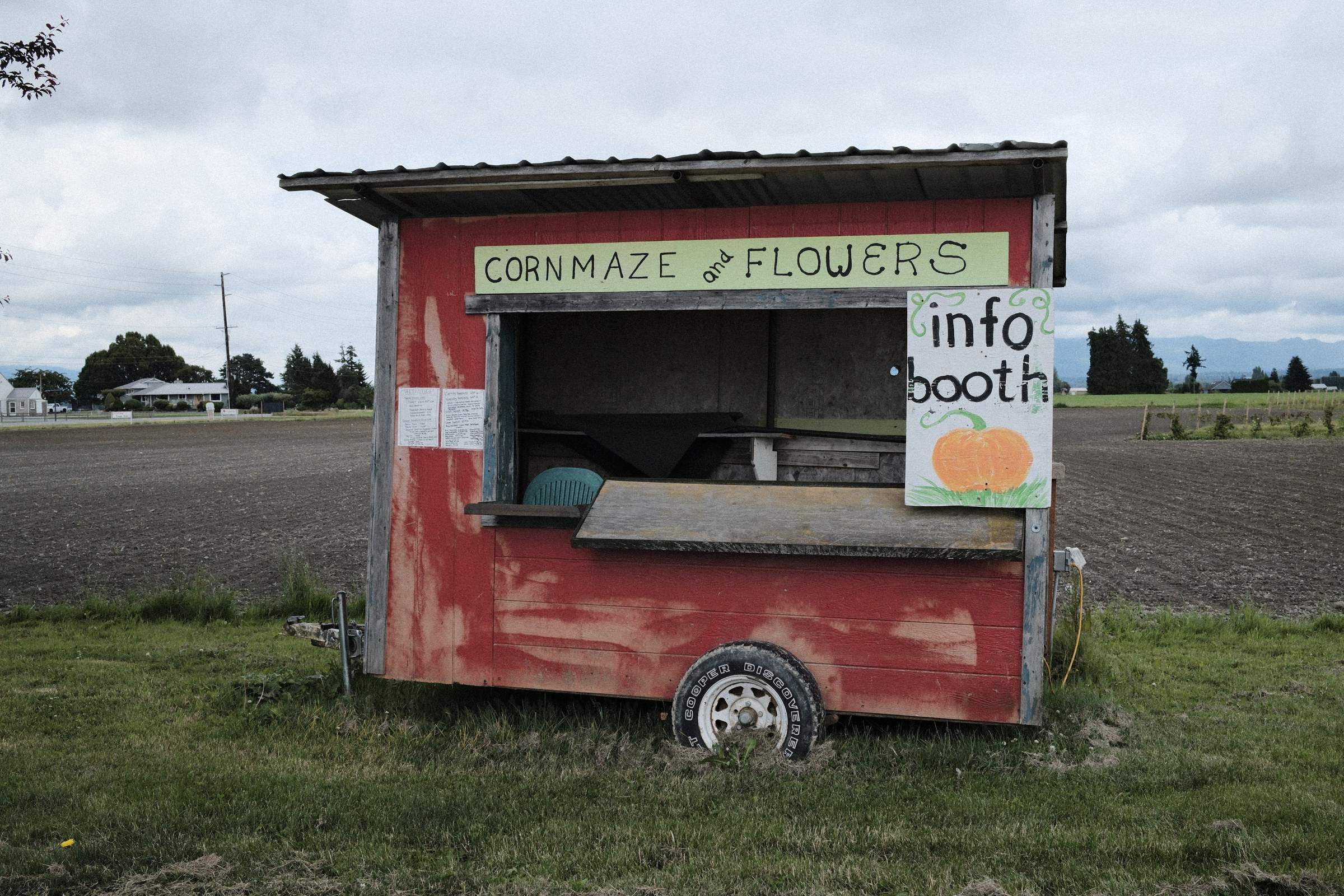 A weathered red farm stand at Schuh Farms with signs for a corn maze and flowers sits in front of a vast, open agricultural field under a cloudy sky.